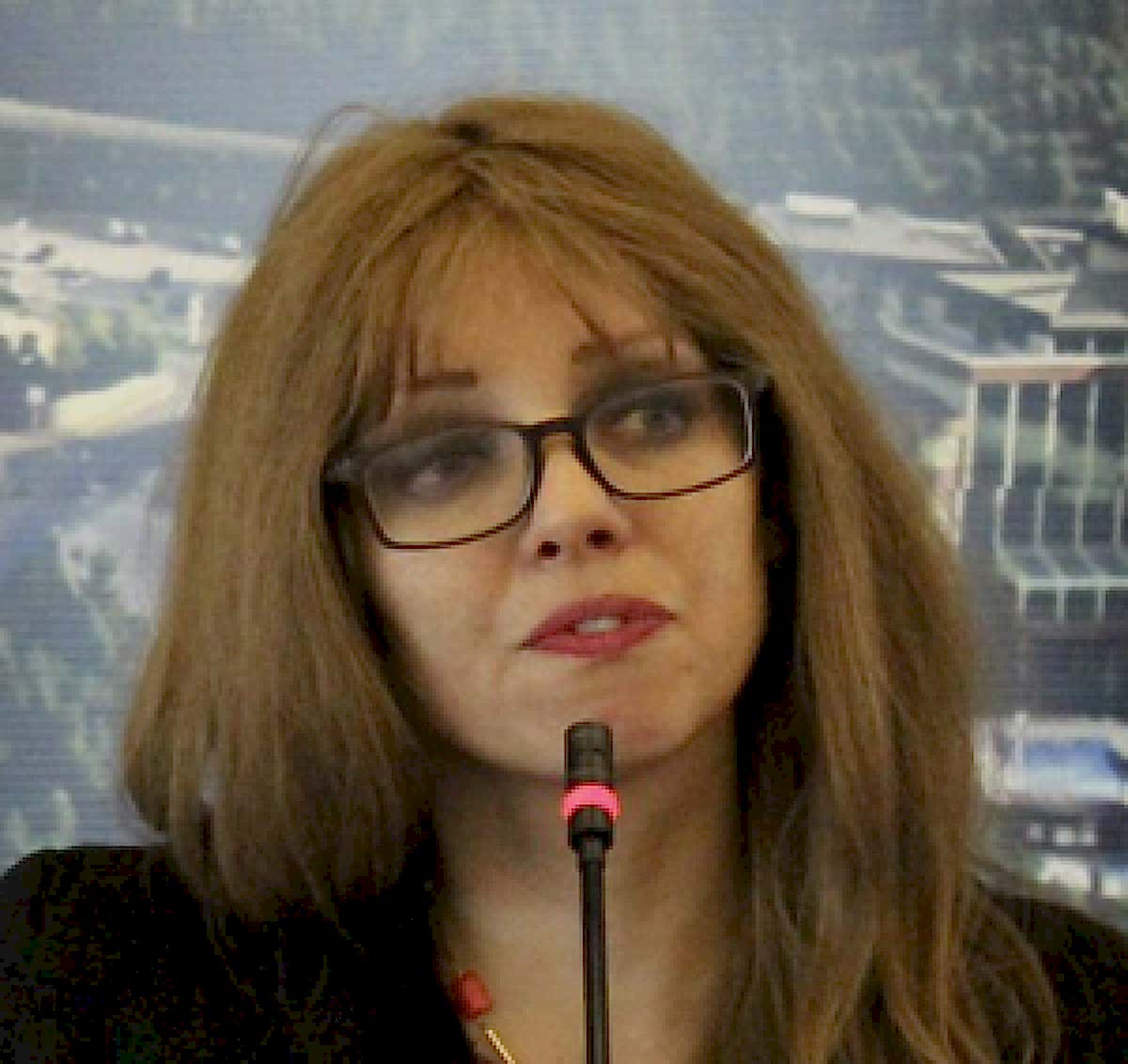 Ilgın GÖKLER DANIŞMAN